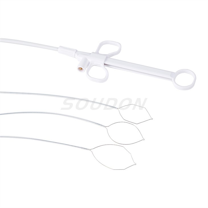 polypectomy hot snare