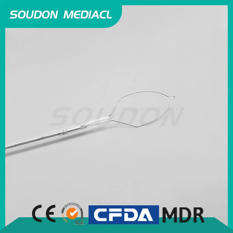 Cold Snare Endoskopia